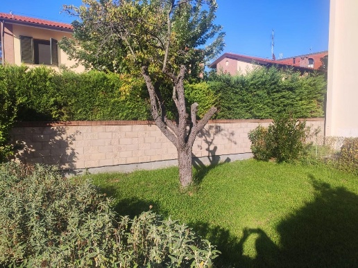immagine annuncio 4 di 6
