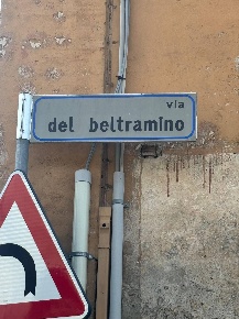 Foto Villa singola in VIA DEL BELTRAMINO, Mairago Centro di 800 m²