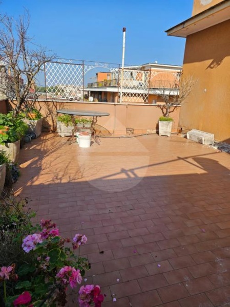 immagine annuncio 1 di 6