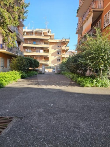 immagine annuncio 3 di 6