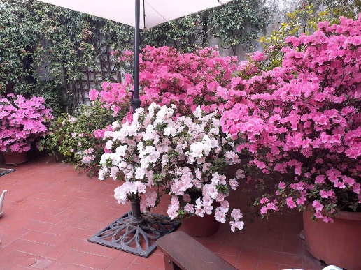 immagine annuncio 1 di 14