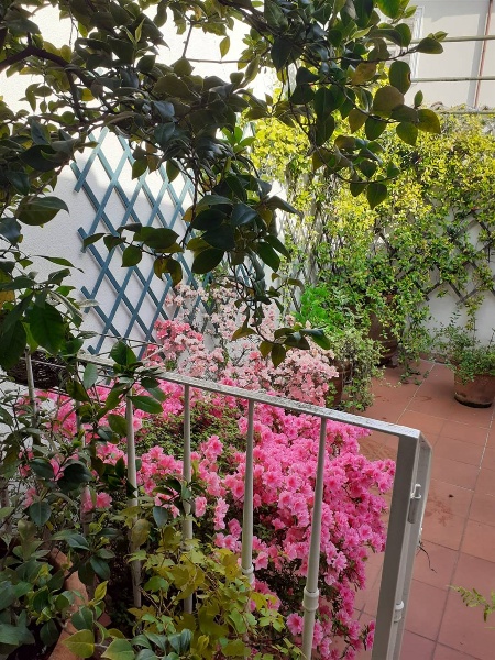 immagine annuncio 12 di 14