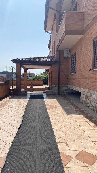 immagine annuncio 7 di 14