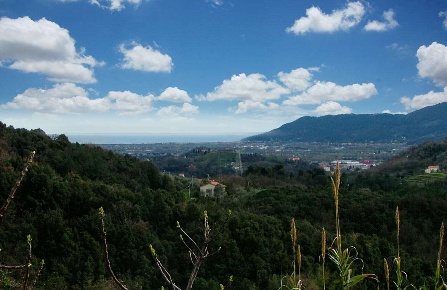 Foto Attici in via falcinello 21, Sarzana in vendita