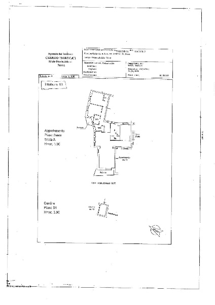 immagine annuncio 11 di 12