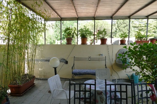 immagine annuncio 5 di 14