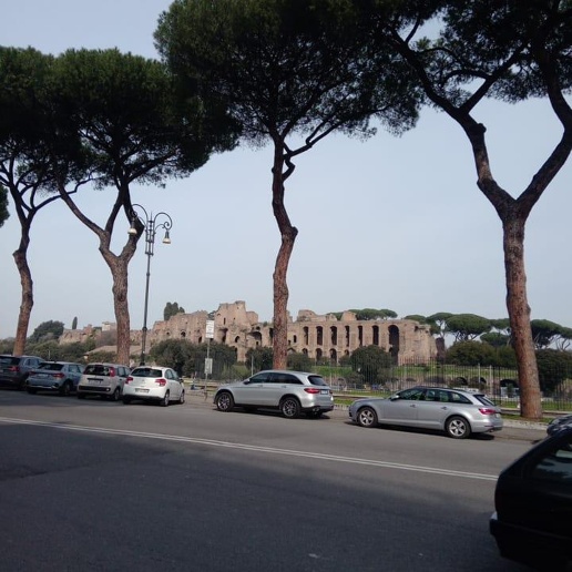 immagine annuncio 2 di 8