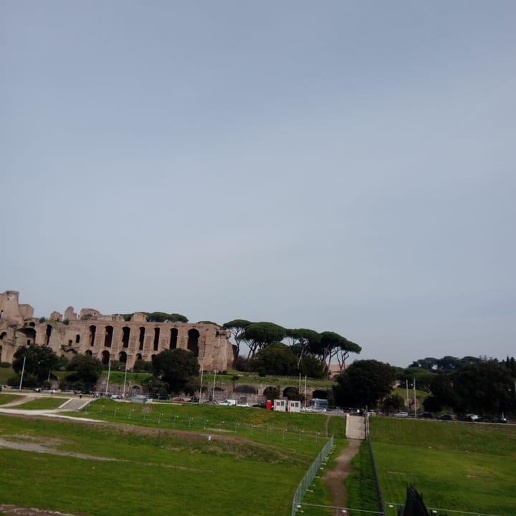 immagine annuncio 3 di 8