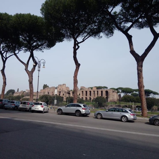 immagine annuncio 4 di 8
