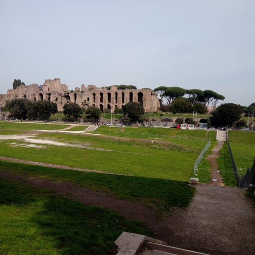 immagine annuncio 5 di 8