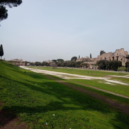 immagine annuncio 7 di 8