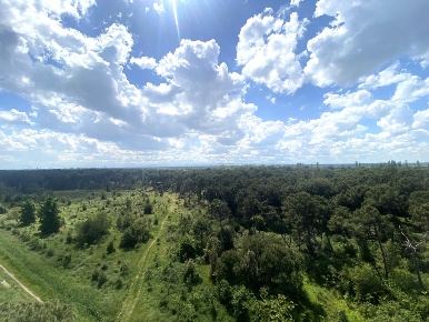 Foto Attico a Cervia Milano Marittima con 6 locali in vendita