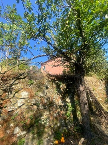 Foto Villa singola a Follo di 70 m² con 4 locali in vendita