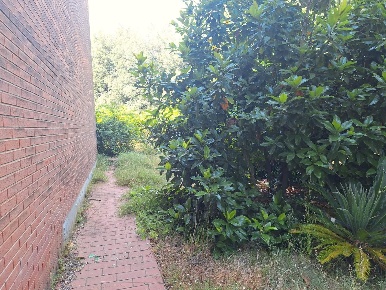 Foto Villa a schiera a Capannori Verciano - Guamo di 130 m² con 6 locali