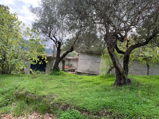 immagine annuncio 1 di 14