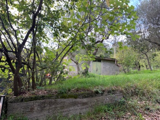 immagine annuncio 3 di 14