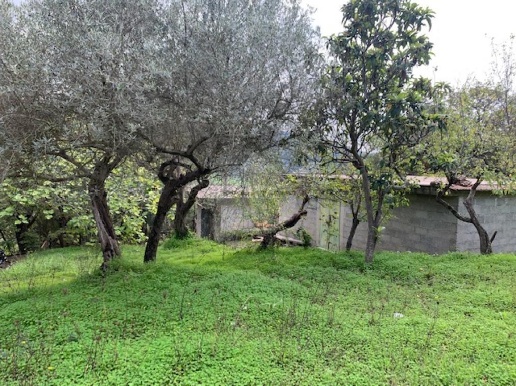 immagine annuncio 4 di 14