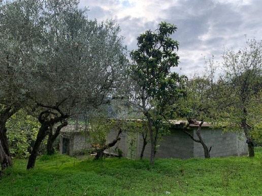 immagine annuncio 5 di 14