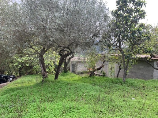 immagine annuncio 12 di 14