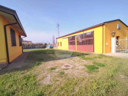 immagine annuncio 5 di 7