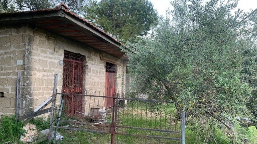 immagine annuncio 1 di 11