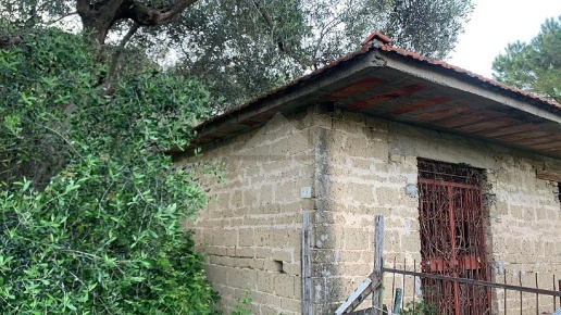 immagine annuncio 2 di 11