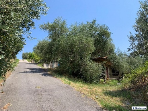 immagine annuncio 4 di 11