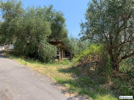 immagine annuncio 5 di 11