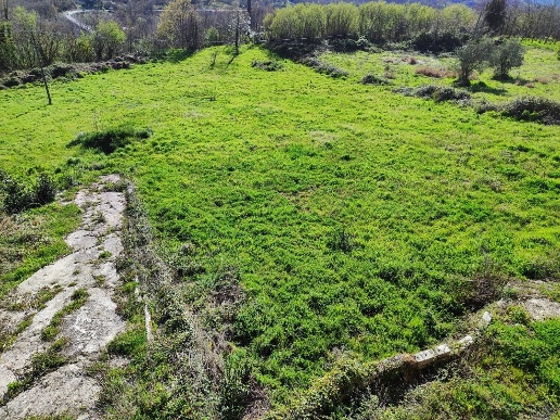 immagine annuncio 3 di 9