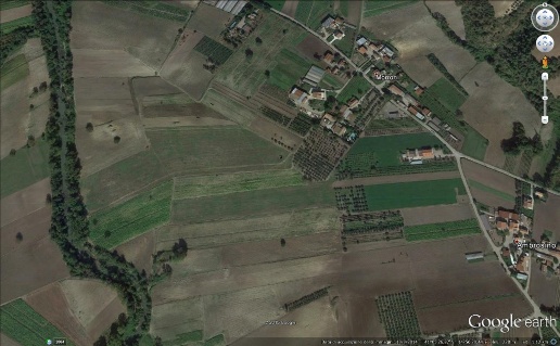 immagine annuncio 4 di 7