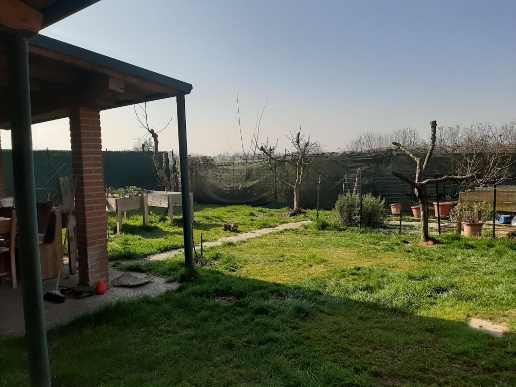 immagine annuncio 1 di 9