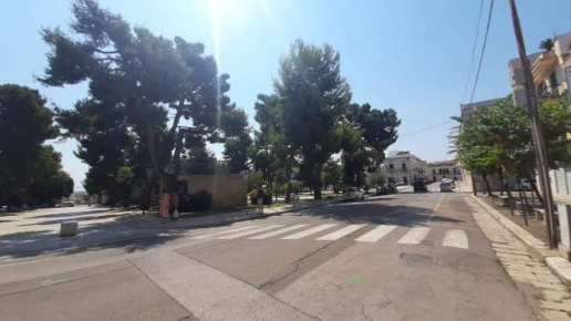 immagine annuncio 6 di 7