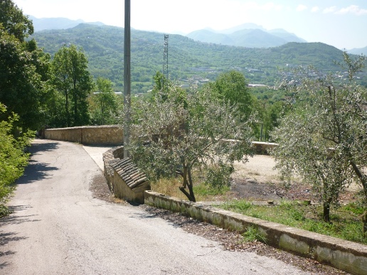 immagine annuncio 6 di 7