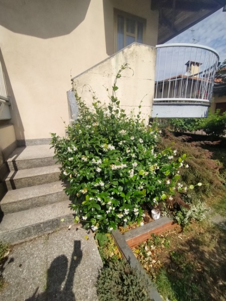 immagine annuncio 2 di 8