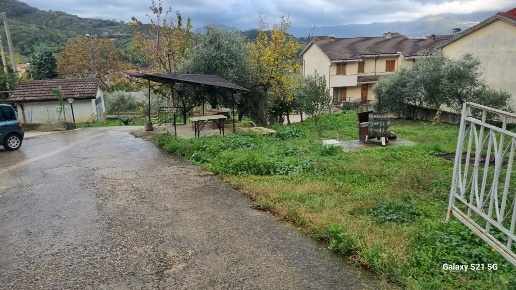 immagine annuncio 2 di 8