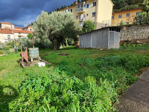 immagine annuncio 4 di 8
