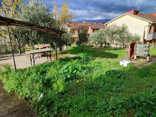 immagine annuncio 5 di 8