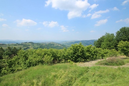 Foto Casa indipendente a Roddino di 640 m² con 10 locali in vendita