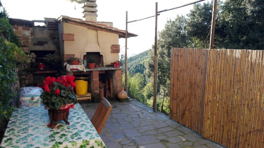 immagine annuncio 5 di 8