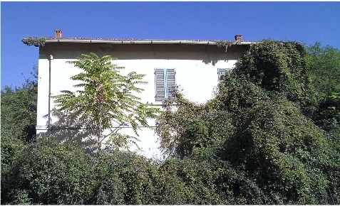 Foto Casa indipendente a Castellina in Chianti di 171 m² in vendita