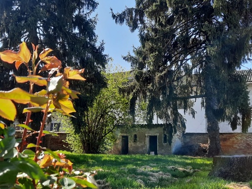 immagine annuncio 1 di 12