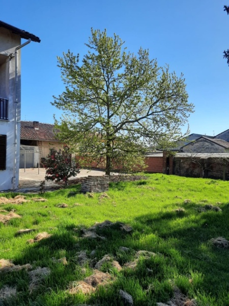 immagine annuncio 2 di 12