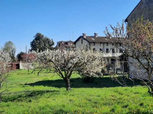 immagine annuncio 3 di 12