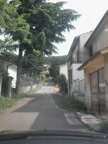 immagine annuncio 2 di 6