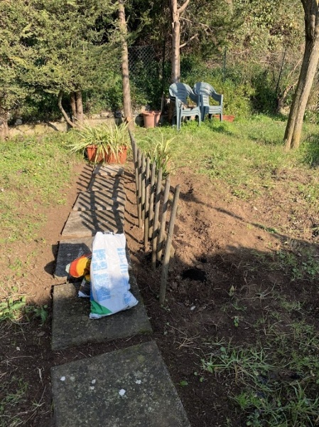 immagine annuncio 10 di 15