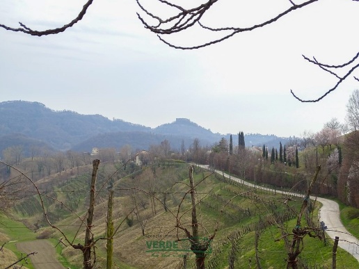 immagine annuncio 2 di 13