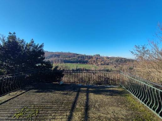 immagine annuncio 9 di 14