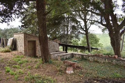 immagine annuncio 2 di 4