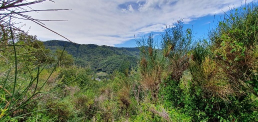 Foto Casa indipendente in Strada Provinciale Crocetta/Caso, Alassio
