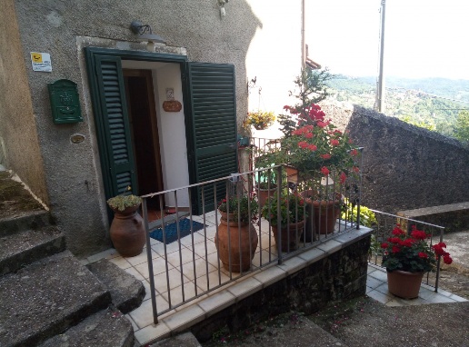 immagine annuncio 2 di 11